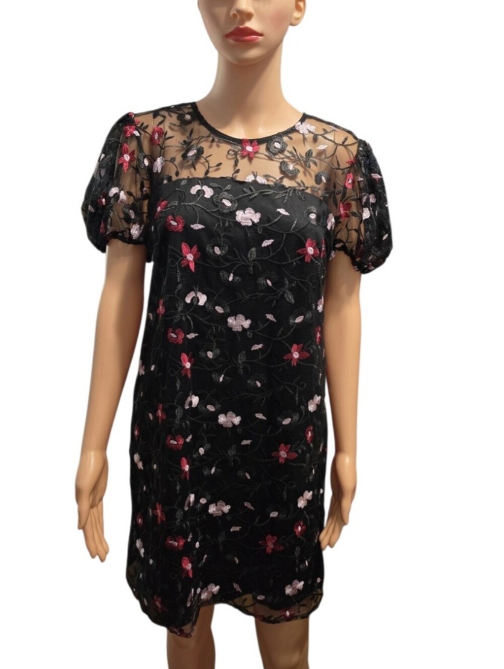 Sam Edelman Floral Embroidered Mesh Overlay Whimsigoth Romantic Shift Dress Sz 6